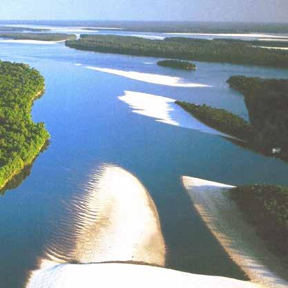 Nationaal Park Jau Het Nationaal Park van Jau is een bewaard paradijs in het hartje van de Amazone. De fauna en flora zijn uniek en zelden.