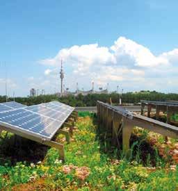 De partners van de Green Deal Groene Daken hebben hard gewerkt om het pad voor een groen en multifunctioneel dakenlandschap te effenen.