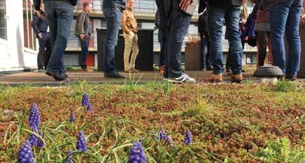 Een groene omgeving draagt bij tot een groter welzijn van de mens, waarbij het