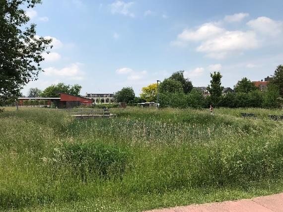 van de Kleine Nete tussen Geel en Herentals de groenblauwe dooradering kunnen versterken.