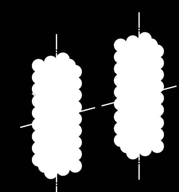 Figuur 15a: Proton en antiproton met E = 1/2 mc 2 aan kinetische rotatie energie toegevoegd wat resulteert in materie/antimaterie.