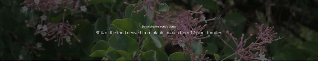 Om planten te kunnen beschermen moet je ze kennen Naamgeving & Tellen Schatting van 391.000 vasculaire planten, waarvan 361.