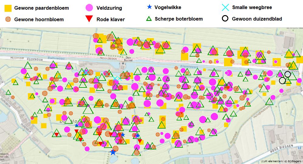 4.3 Planten van matig voedselrijke graslanden Wetenschappelijke naam Nederlandse naam ZZklasse Planten van matig voedselrijke graslanden Achillea millefolium Gewoon duizendblad aaa Agrostis