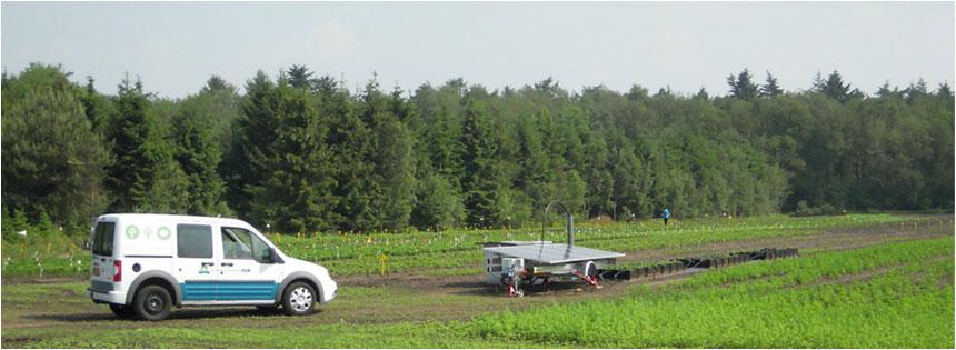 Teelt plantgoed tot leverbaar Teelt buiten in volle grond of substraat Onderzoek 2018 in Drenthe: Minder middelen Alternatief teeltsysteem 17 Teelt plantgoed tot leverbaar