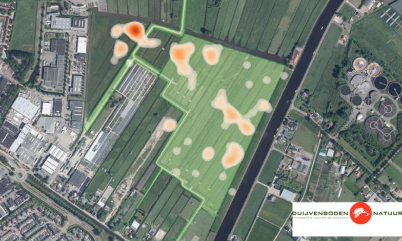 naar de kern van het gebied er zich minder geconcentreerde, maar grotere concentratievlekken beginnen te vormen het grootse deel van de territoria bevindt zich in 2016