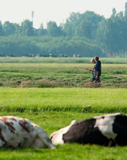 Aanbevelingen Gezien de kwetsbare lage aantallen in de Vosse en Weerlaner polder en de lage BTS indicaties raadt DNatuur het volgende aan: Lok meer vogels naar de polder door een goed plas- dras deel