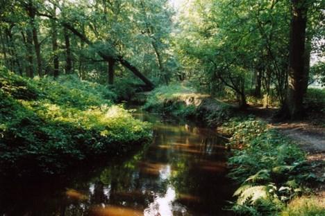 De Astense Aa is een van de zijrivieren van de Aa. De rivier de Aa werd tussen 1960 en 1970 over bijna de gehele lengte van 50 km gekanaliseerd, behalve het stuk in dit natuurgebied.