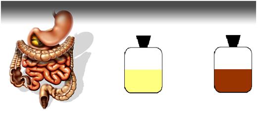 Voeding en gezondheid Geimplementeerde technieken/ toolboxen @ ALIFE in vitro vertering gezondheidsclaims prebiotisch en probiotisch >Enzymatische afbraak van voedingsvezels in de dunne darm: