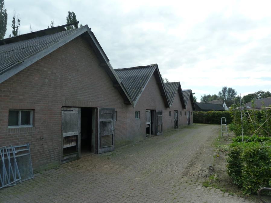 Quickscan natuurtoets Hoevelakenseweg 14, Nijkerkerveen Inventarisatie