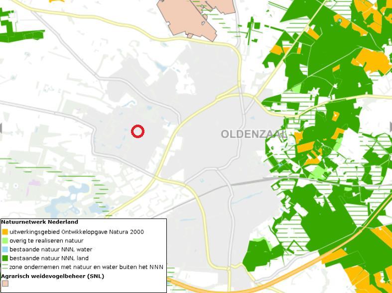 Globale ligging van het plangebied ten opzichte van Natuurnetwerk Nederland en gebieden voor agrarisch weidevogelbeheer. Bron: Provincie Overijssel. Bewerking: SAB. 3.