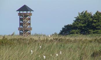 Een panoramatoren biedt een uitzonderlijk uitzicht op het Veengebied van Malchamps en de bossen van Spa. www.berinzenne.