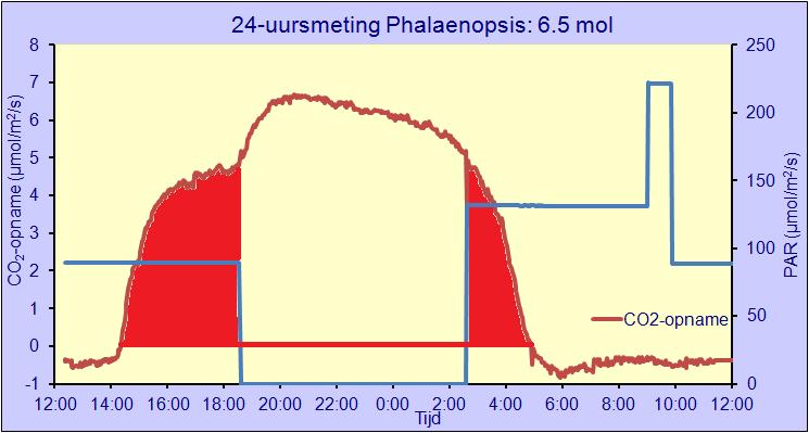 CO2-opname via PEPc en kans op directe C3- fotosynthese (CO2-binding via Rubisco). Figuur 6. Methode bepaling totale CO2-opname in de nacht. De blauwe lijn geeft de lichtintensiteit (PAR) aan.