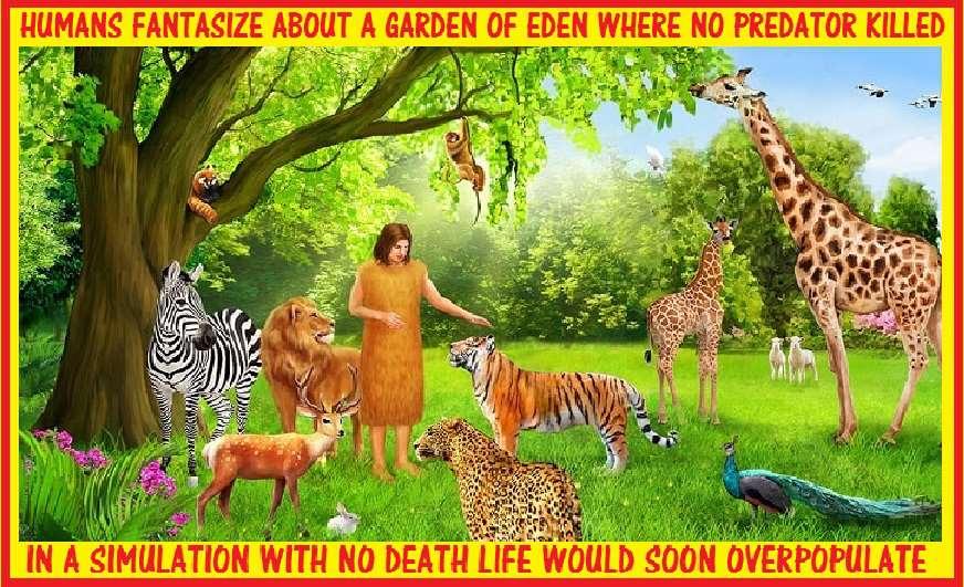 De Hof van Eden is niet het Paradijs Adam en Eva zijn niet onsterfelijk geschapen.