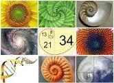 WDlw4 Redeneren over wiskundige verbanden en patronen Voorbeelden van patronen: link met patronen muziek, kunst, voorwerpen, interieur, blokkenbouwsels, natuur, Fibonacci (!