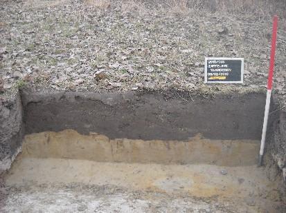 De leesbaarheid van de bodem was matig tot goed, en werd vooral gehinderd door een sterke bioturbatie. 3.1.