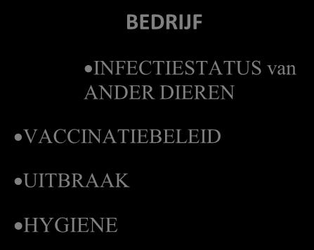 STALEN ADMINISTRATIEVE FOUTEN RESULTAAT