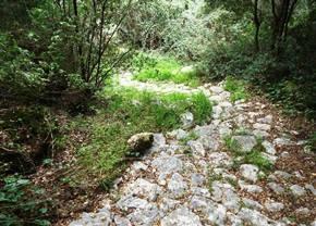 Dag 5: Van Liapades naar Agios Georgios (CT-07) Je word weggebracht naar Liapades. De wandeling begint met een lastig wandelpaadje dat je direct hoog boven de zee brengt, richting Paleokastritsa.