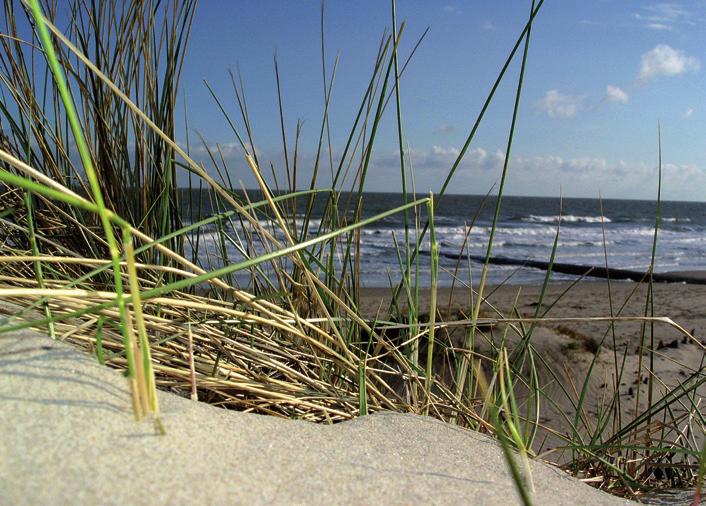 NATUUR EN MILIEU LESBRIEF ONDERBOUW VOORTGEZET ONDERWIJS - VMBO - BIOLOGIE De haven van Rotterdam is de grootste haven van Europa.