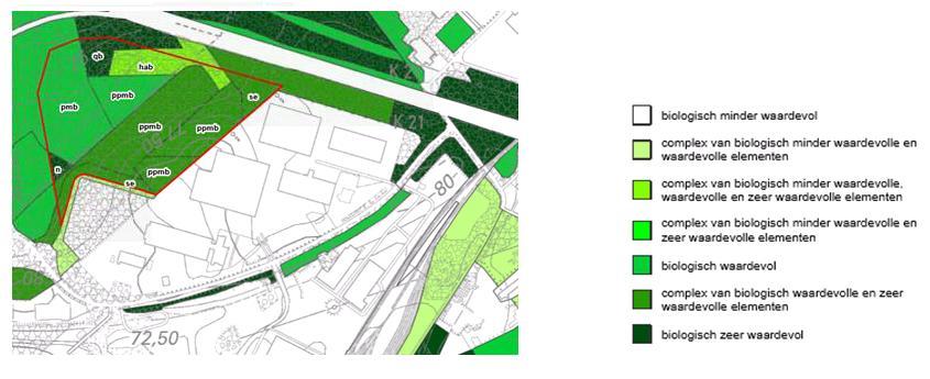 11.3. Op 3 juni 2014 stelt de dienst Milieueffectrapportage van de afdeling Milieu-, Natuur- en Energiebeleid van het Vlaamse Gewest (hierna: de dienst Mer) de richtlijnen op voor de opmaak van het