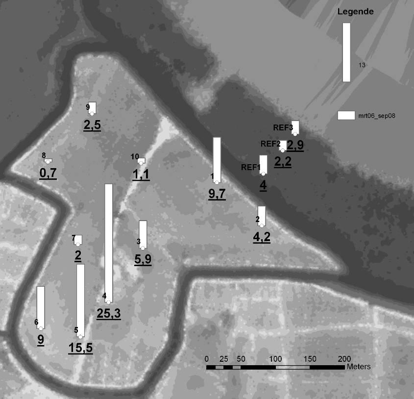 geeft ruimtelijk de hoogteverandering weer tussen maart 26 (start getijdewerking) en september 28.