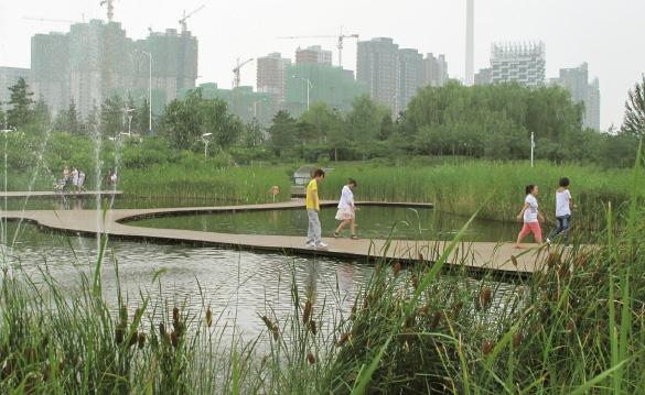 werken met het concept Sponge City. De gedachte achter Sponge City is de stad klimaatbestendig in te richten.