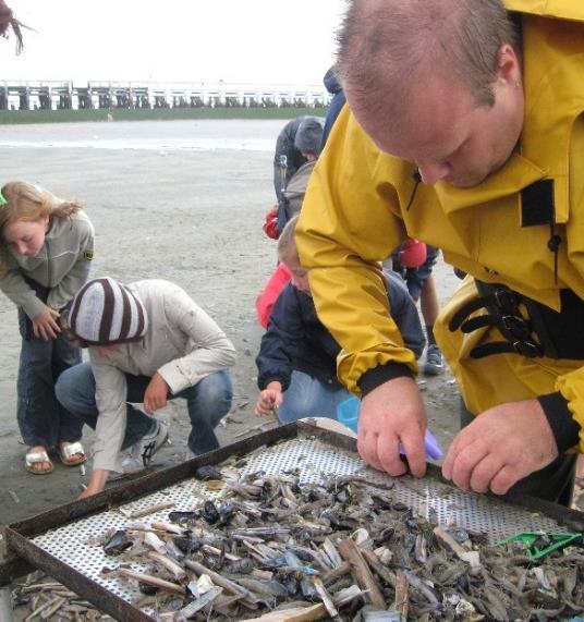 STRAND EN SCHELPENWANDELING We speuren, samen met de natuurgids, het strand af op zoek naar de verschillende soorten schelpen die er aanspoelen en leren hun naam en hun ecologie.