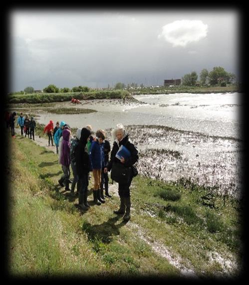 NATUURRESERVAAT DE IJZERMONDING Het natuurreservaat is 130 hectare groot en heeft een unieke biotoop van slikken en schorren.