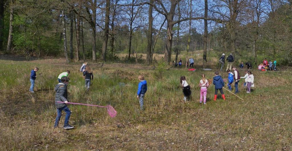 Met Lommse schoolkinderen de natuur in DONDERDAG 20 APRIL 2017 IVN gids Van waterdiertjes naar boomkikkertjes.