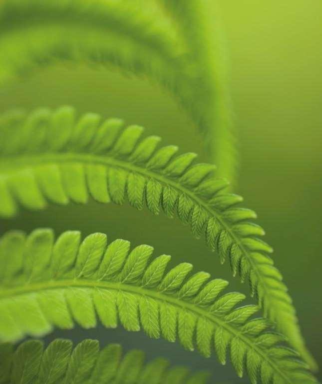 Missie Duurzaam en uitstekend drinkwater en natuurbeheer met en voor iedereen Dit betekent dat: wij nu en in de toekomst continu drinkwater leveren en natuurgebieden beheren.