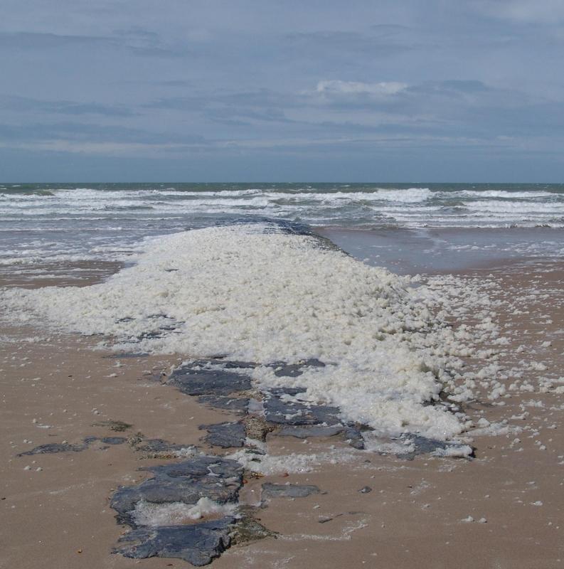 speelse vlokken schuim stranden op de