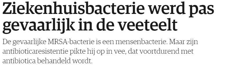 Antibioticumgebruik in