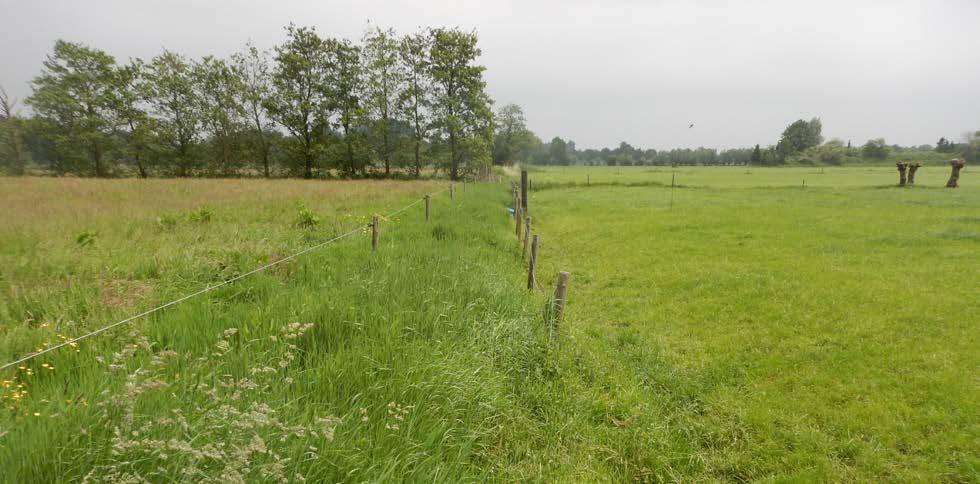 Projectplan Waterwet Verbetering waterbeheersing Molenweg te Doorn Hoogheemraadschap De Stichtse Rijnlanden