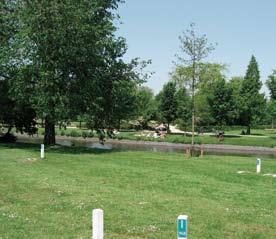 bevinden ze zich in een groene parkachtige