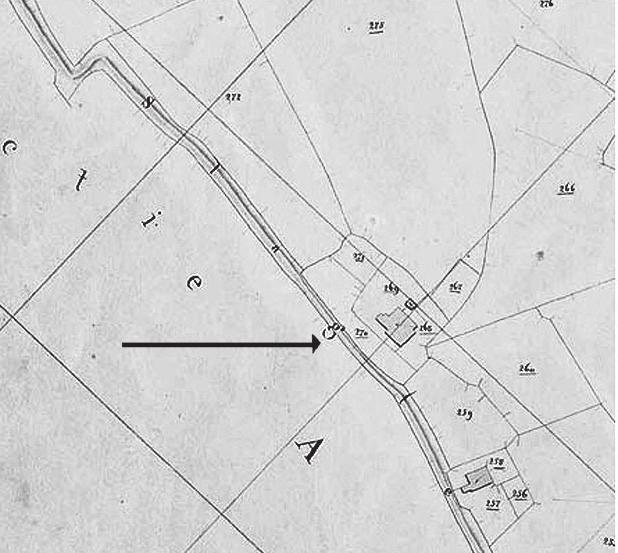 gedeelte van de terp afgegraven en zo kon het gebeuren dat nadien het land ten zuiden van de Slachte bij Tellens voor een gewoon stuk buitendijks land werd aangezien.