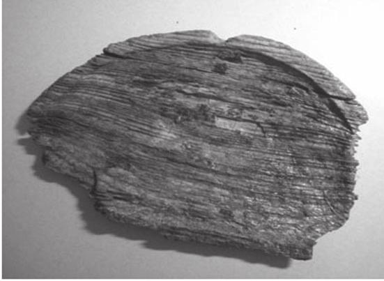 Er was namelijk al besloten om langs het stuk dijk over de Tellenser terp, ter aantal scherven uit de 1e en 2e eeuw werd ook een houten bordje of schaaltje aangetroffen, dat voorzichtig uit de grond