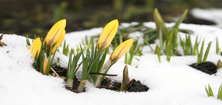 Donderdag 7 Februari: VRAGENUURTJE CLIËNTENRAAD Van 11.15 tot 11.45 uur in de Bibliotheek KERKDIENST o.l.v. Pastor H.