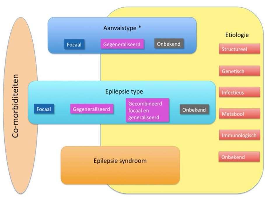 Pagina 8 Classificatie epilepsie Nadat het aanvalstype is geclassificeerd moet de epilepsie geclassificeerd worden (als voldaan wordt aan de definitie epilepsie).