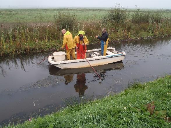 12/51 Visstandmonitoring Hunze, 2015 Figuur 2 Het vangen van de vis vanuit de boot ( links) en de verwerking van de vangst door het monitoringsteam van de Hengelsportfederatie Groningen Drenthe