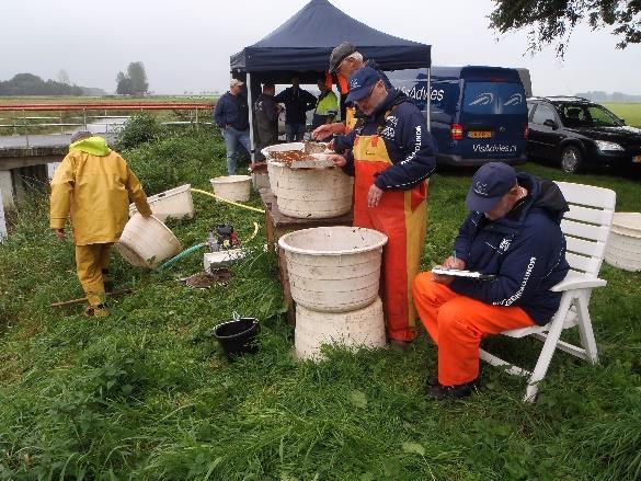 De verwerking bestond uit het bepalen van de soort, het meten van de staartlengte tot op 1 cm nauwkeurig en een uitwendige controle op ziekten en afwijkingen.