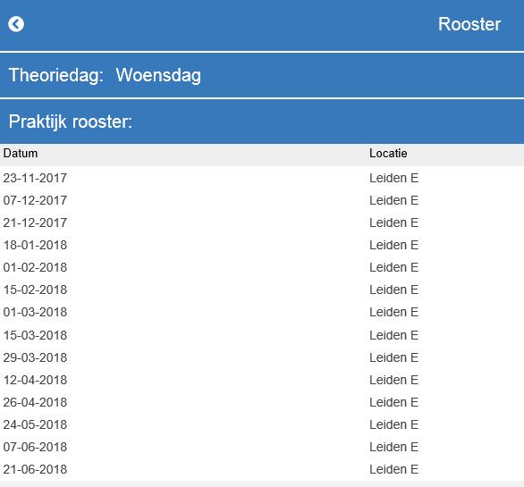 Bij Saldo in uren waar in het voorbeeld 0.13 uur staat, staat je verlofstand op dit moment. Bij Saldo op 31 december waar in het voorbeeld 50.