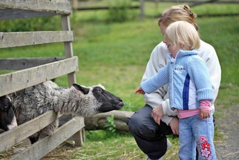 Kind - 12 jaar = 10 of 2,5 met Uitpas aan Kind - 2 jaar = 5 of 1,25 met Uitpas aan Inbegrepen in de prijs zit het vervoer, de tickets en de verzekering. Neem zeker zelf je lunchpakket mee!