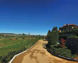De Barbaresco van Giacosa is een ondergewaardeerde wijn die menig Barolo naar de kroon steekt. Sowieso is de prijs-kwaliteit van de Giacosa-wijnen onberispelijk.