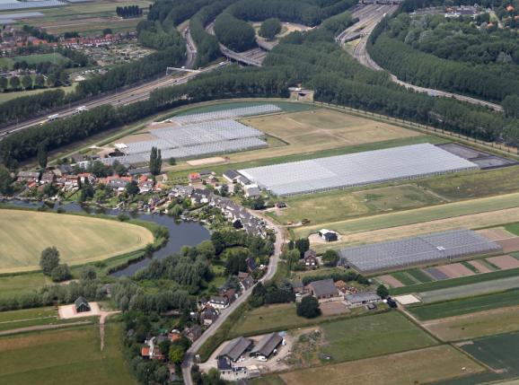 Het Barendrechts type Het Barendrechts type of gemengd bedrijf kenmerkt zich door de teelt van vollegrondsgroente en glasgroente.