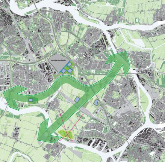 SCENARIO 4 GEDECONCENTREERD o Mogelijkheden bieden voor (glas)tuinbouw om (op sommige locaties) uit te breiden onder voorwaarden, circa 40-50 hectare o Landschappelijke inpassing o Op landschappelijk