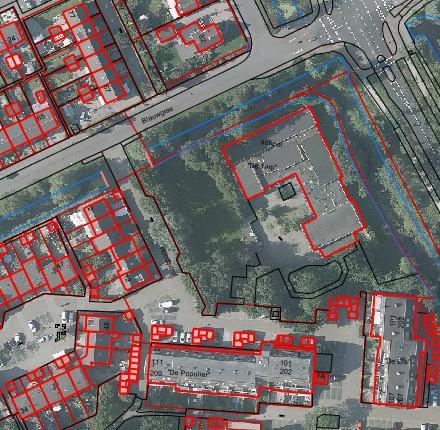 bestemmingsplan van De Greiden wordt dit groen ook als waardevol aangemerkt. Men zou graag zien dat de bomen en struiken zoveel mogelijk worden gespaard.