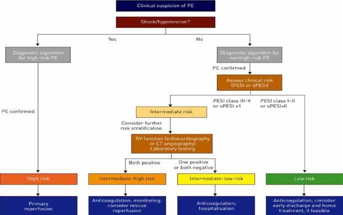 Hiernaast is de flow-chart weergeven uit de ESC-richtlijn diagnose en behandeling van longembolieën uit 2014 die aan deze vraag richting probeert te geven 3.