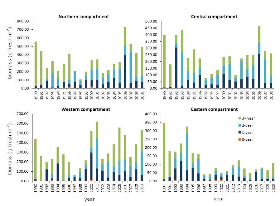 Figuur 43 Ontwikkeling van kokkelbiomassa (gram versgewicht/m2) in de vier compartimenten van de Oosterschelde (Bron: Troost & Ysebaert, 2011).