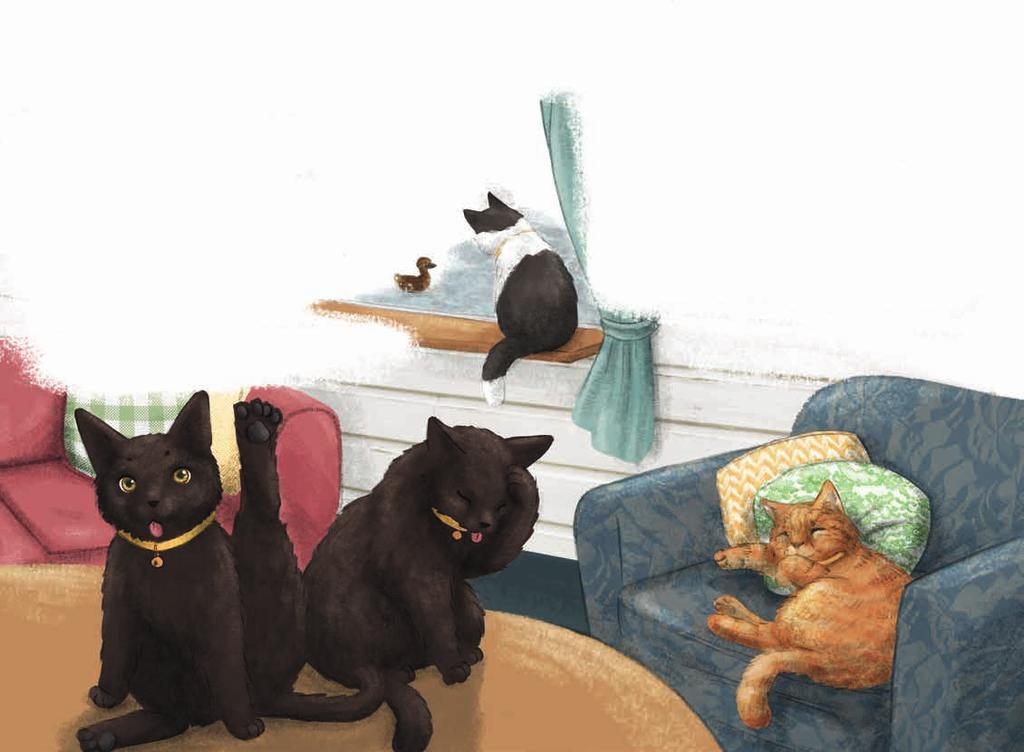 Hoeveel poezen?! Op een grote bank liggen twee poezen te slapen. Een rode kat luiert in een stoel. In de vensterbank zien ze een zwart-witte poes en op tafel zitten twee zwarte katten zich te wassen.