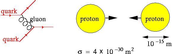 Drie soorten neutrinos! Z 0 vervalt in ü quark paren (behalve top quarks!