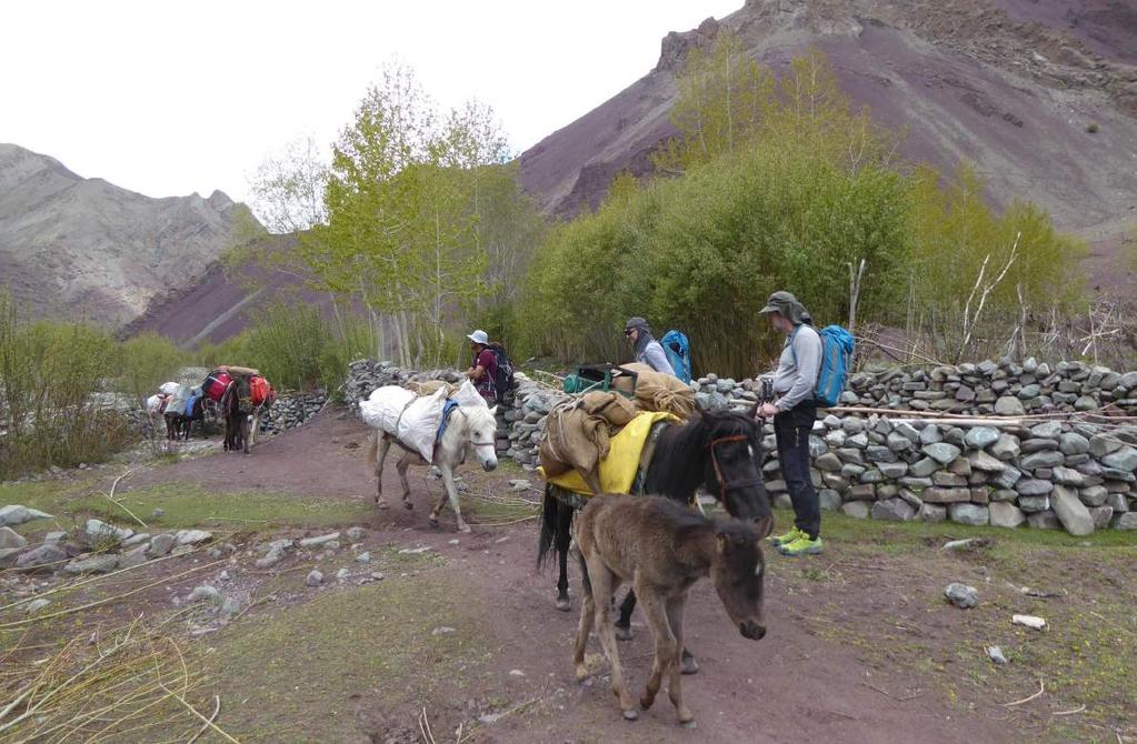 DAG 5 Acclimatisatie beklimming De hoogte van de damavand maakt het noodzakelijk om extra te acclimatiseren om hoogteziekte te voorkomen.